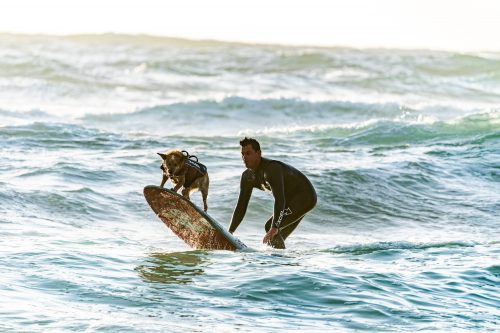 action ocean leisure
